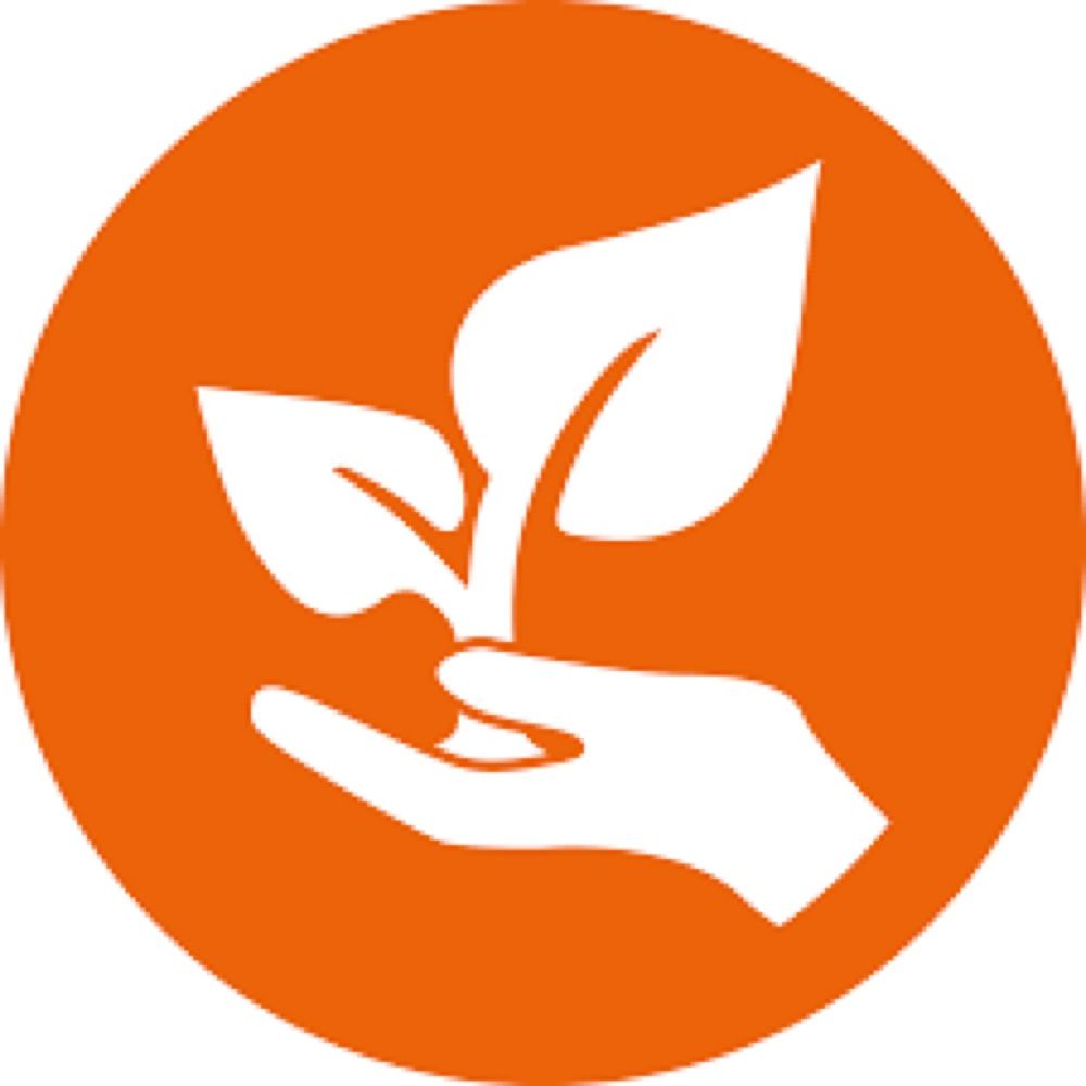 Cellex Stiftung