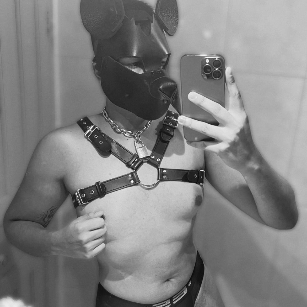 SirPuppy