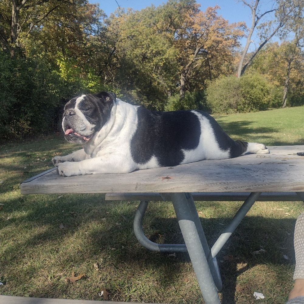 Maggie Mae