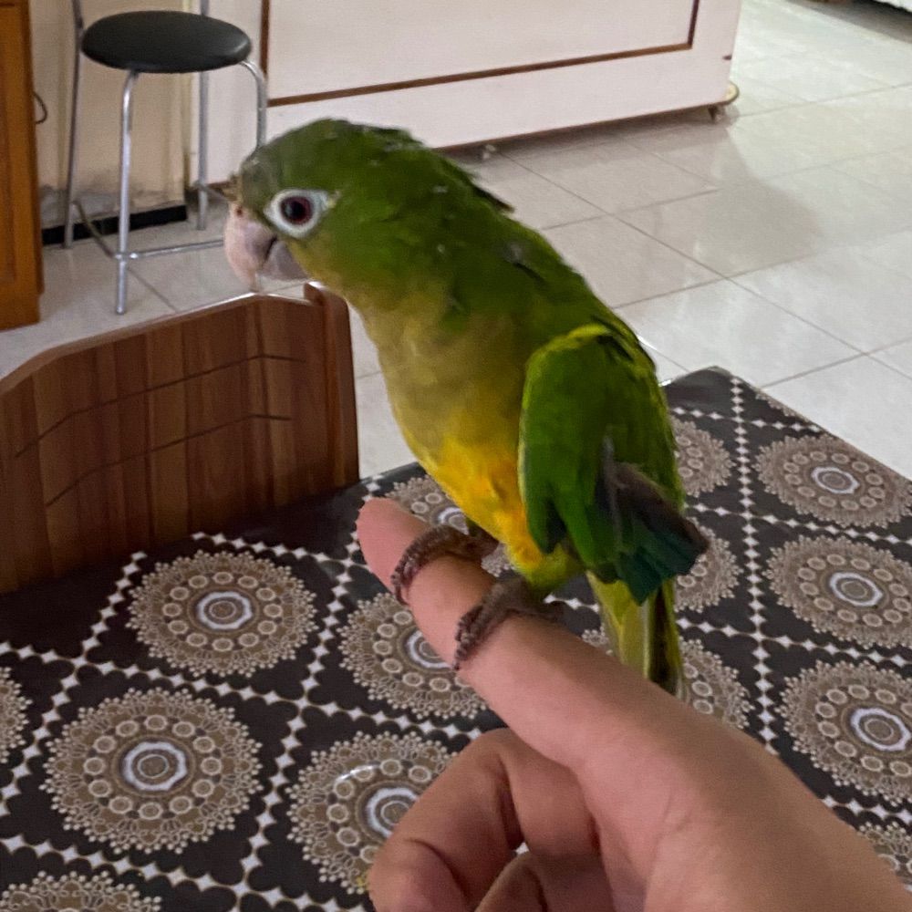 Que depressão é essa?