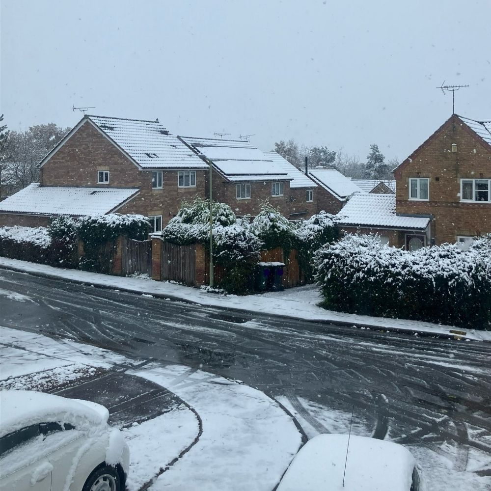 snowy