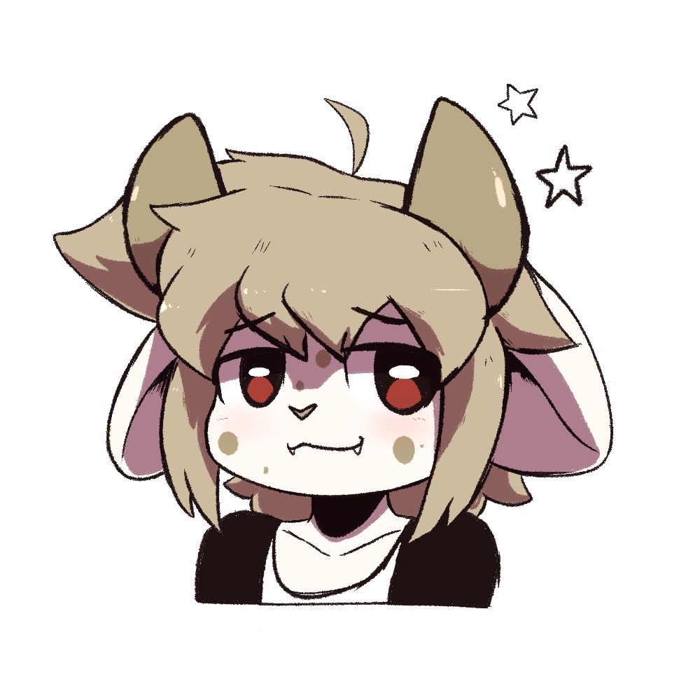 Evan Grr