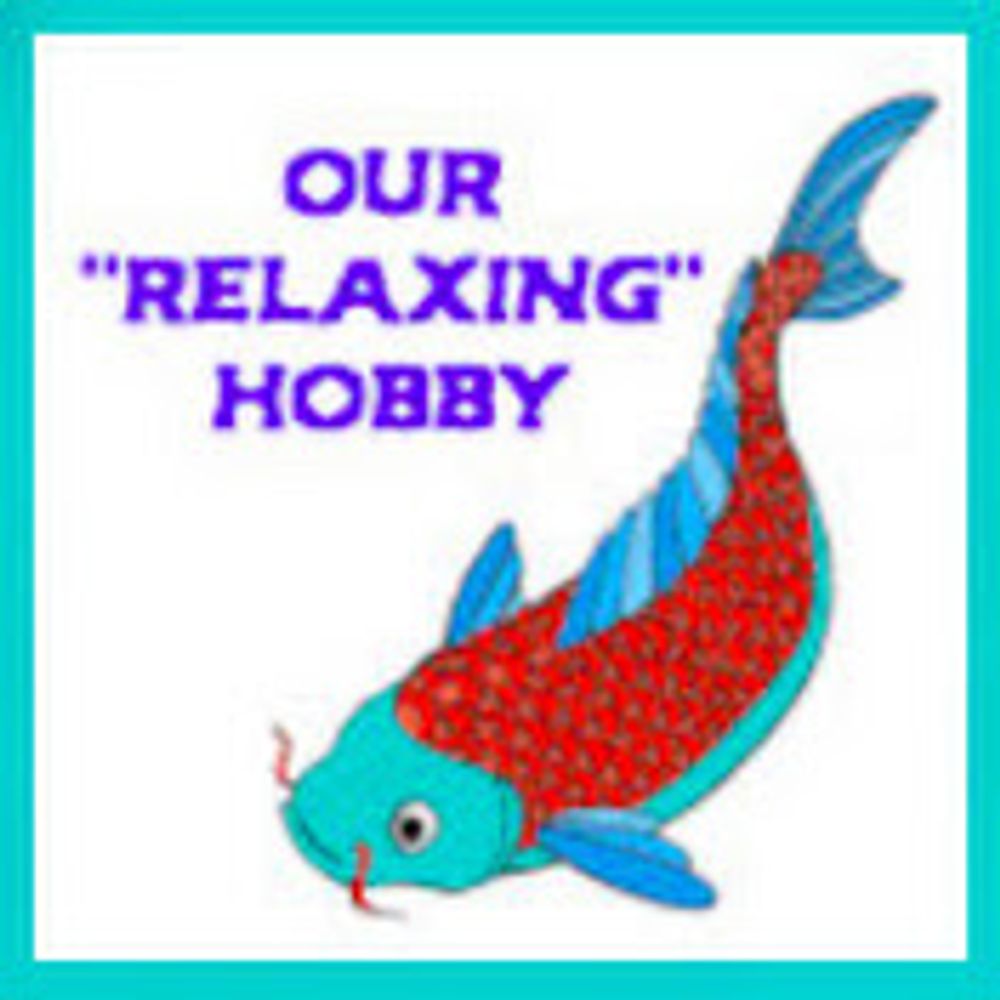 Our "Relaxing" Hobby