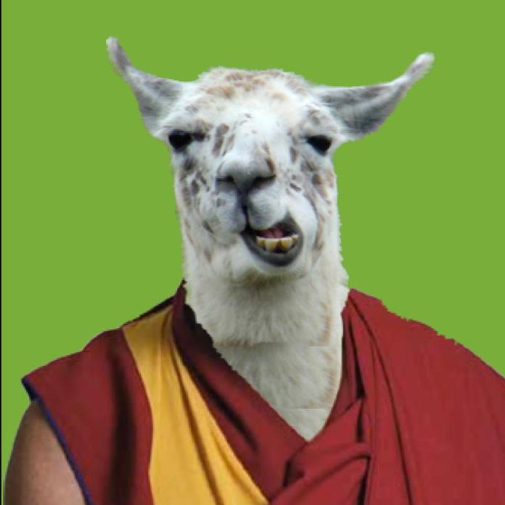 Matt Schuelka