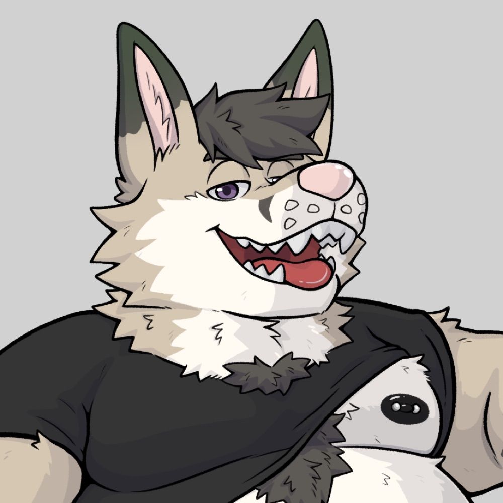 Nomad BIG Kangaroo 🦘