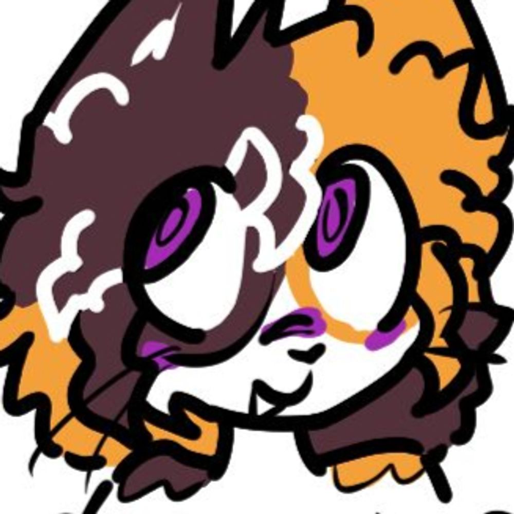 calicotypeshit.bsky.social