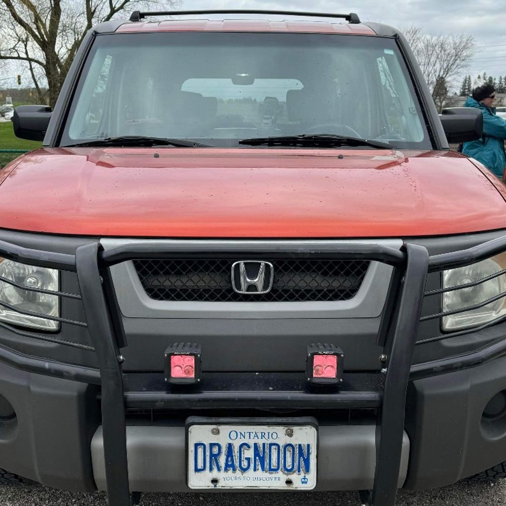 DragonDon