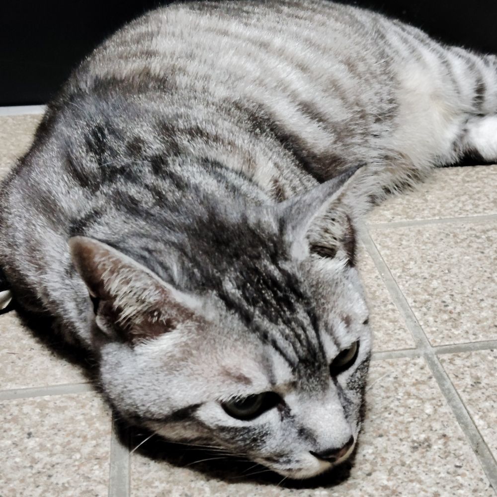 のるん