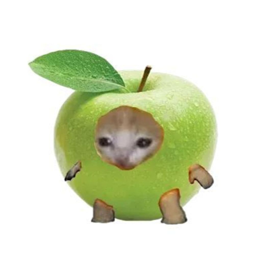 iwsyosb