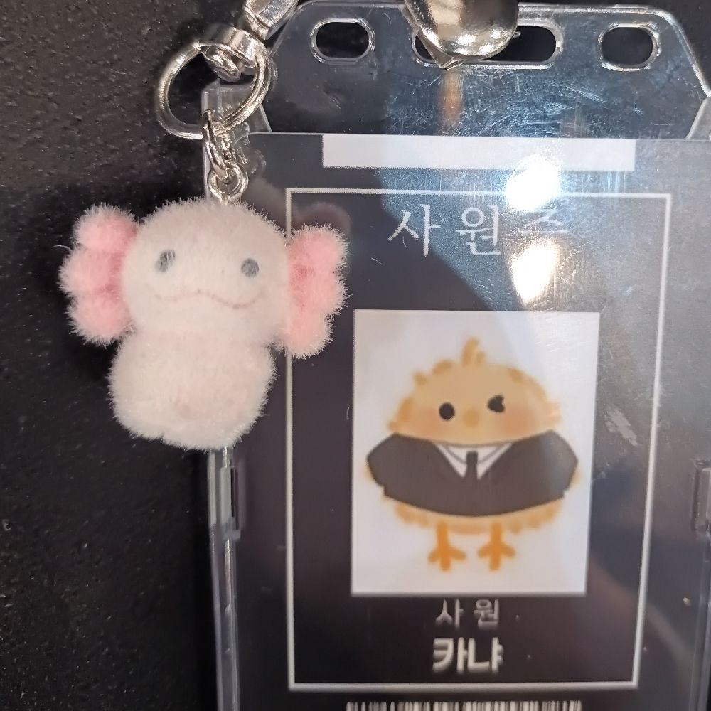 카냐