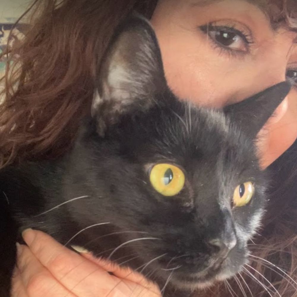 mycatsmom99.bsky.social profile picture
