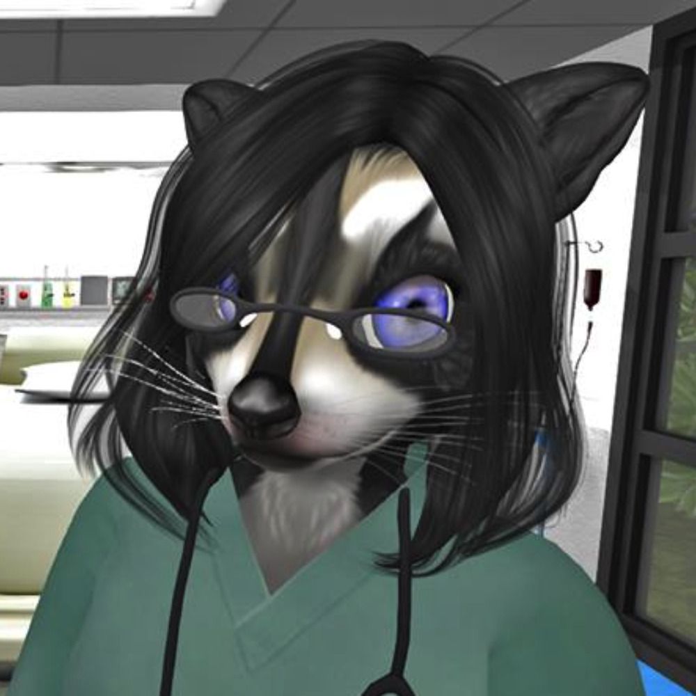 Matthias Raccoon's avatar