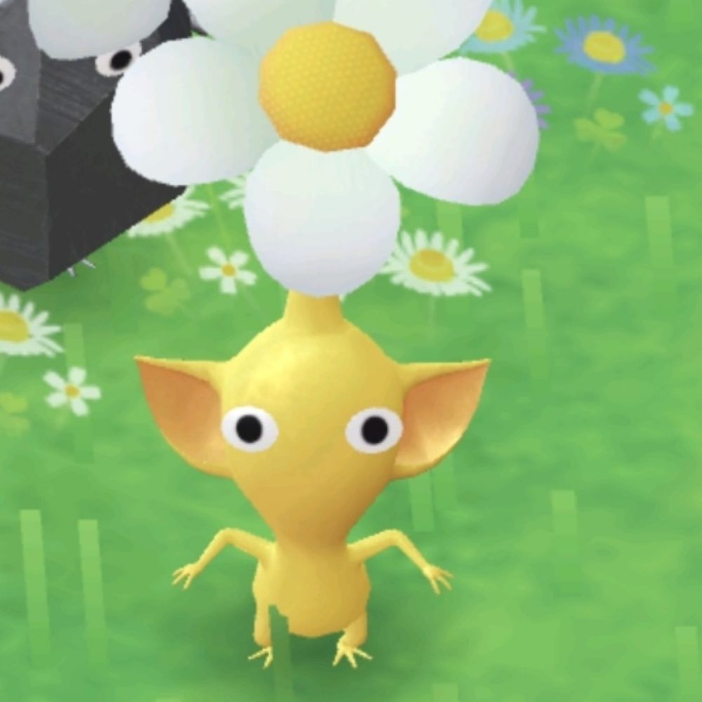 새싹