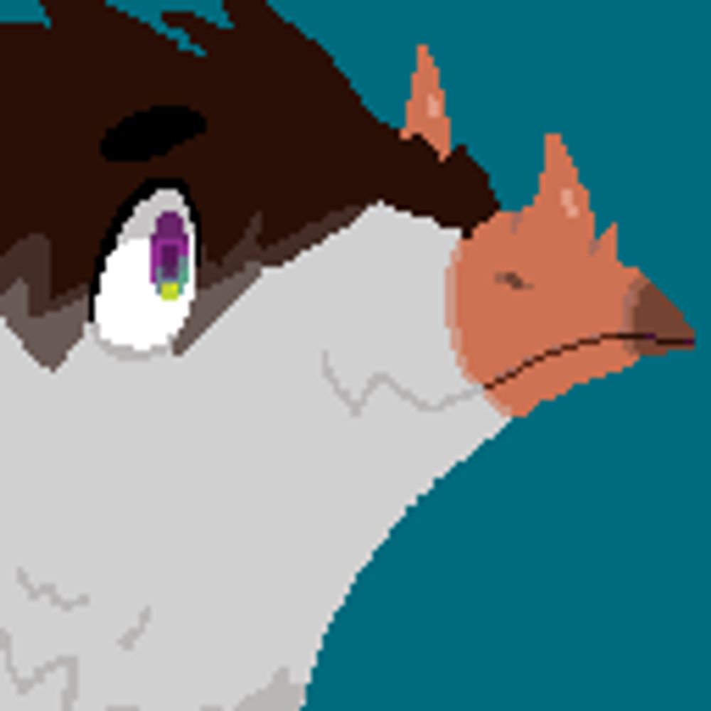 🔞Caspian Tern