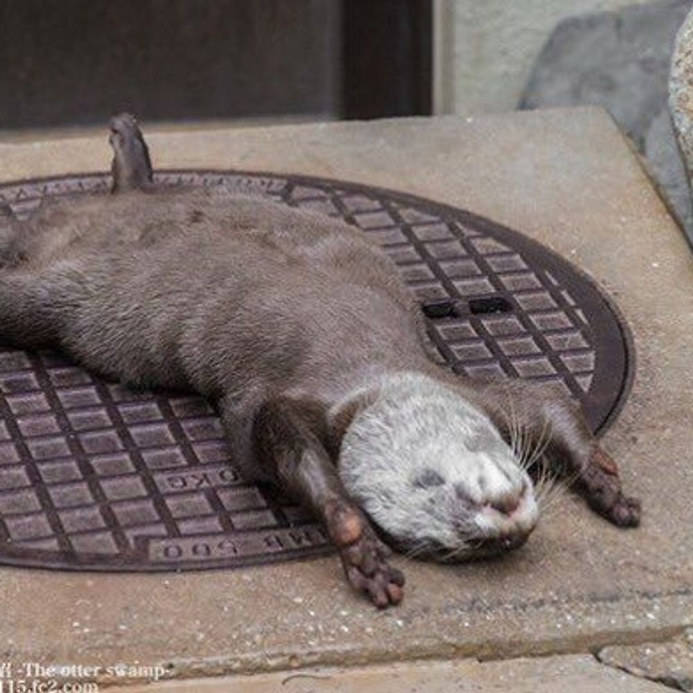 mornietari.bsky.social