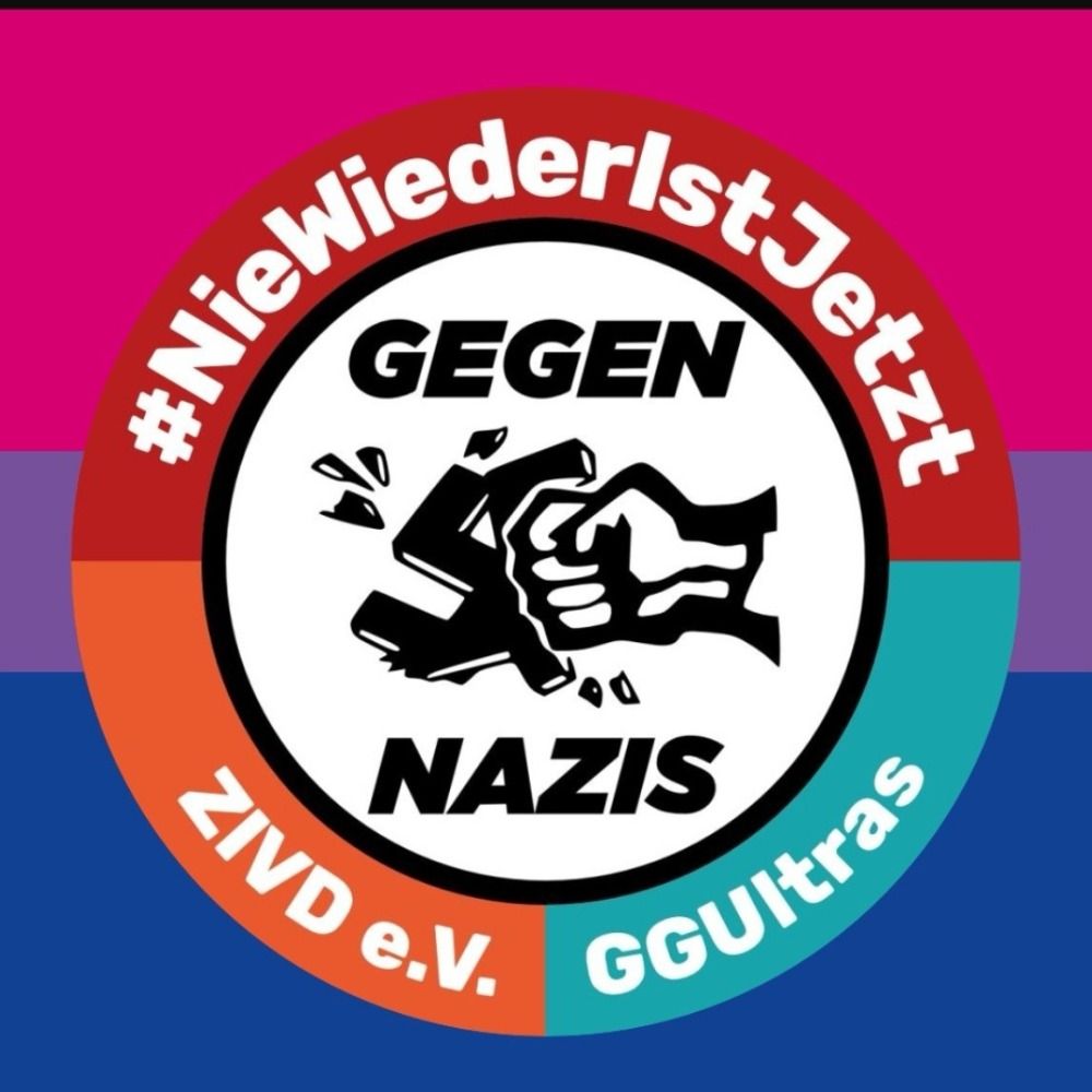 Erik S.  AGAINST NAZIS AND AFD's avatar