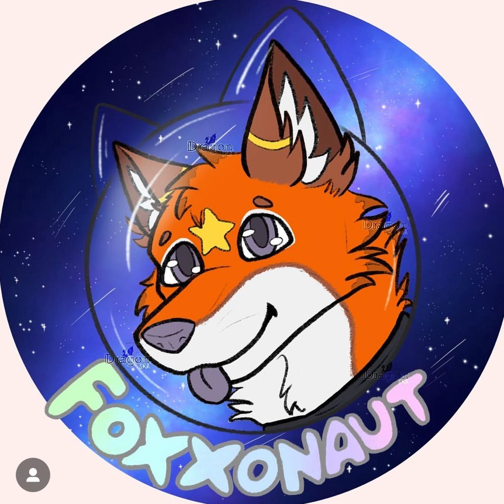 fox !! 🦊⭐️
