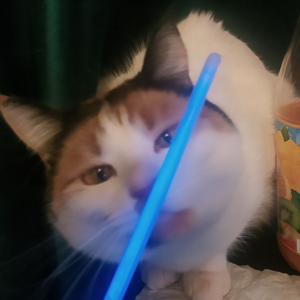 GreenCat
