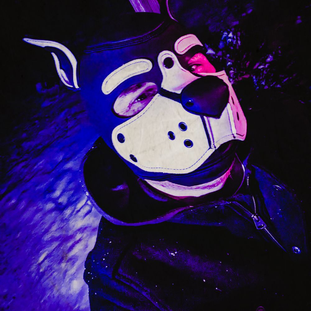 Pup E