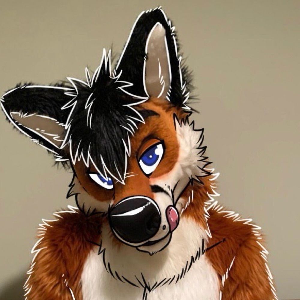 Tekfox AD