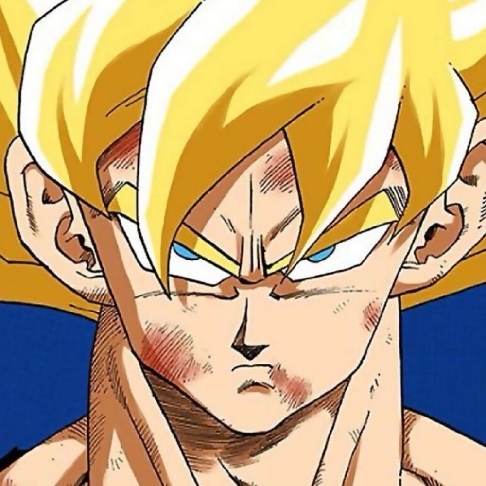 Dragon Ball Perfect Shots