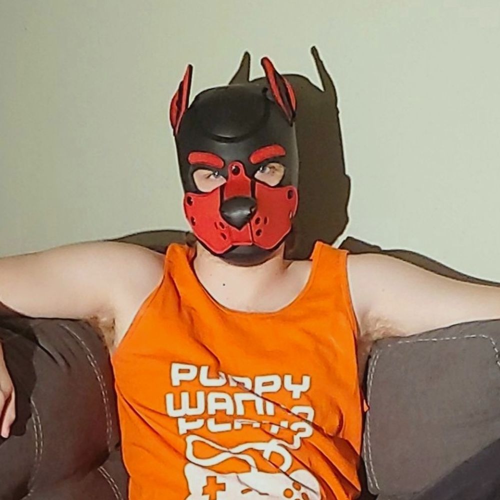 Pup Lane
