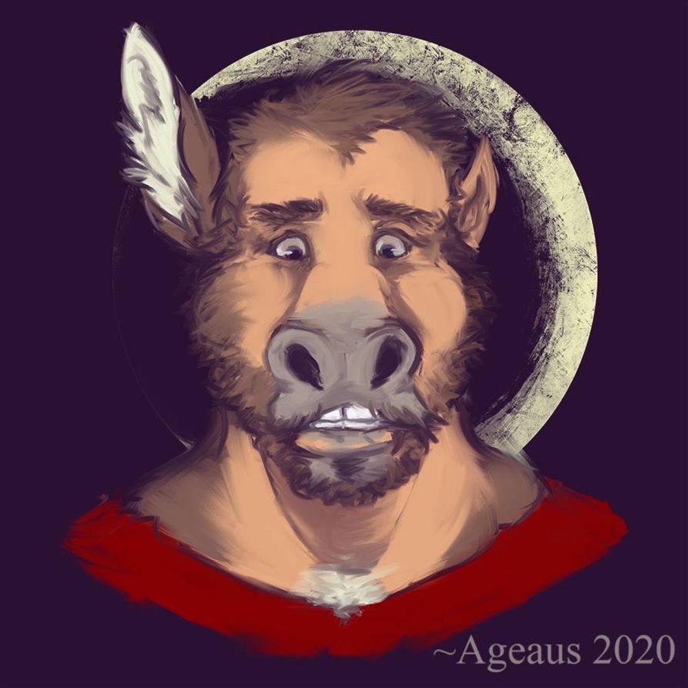 Janus