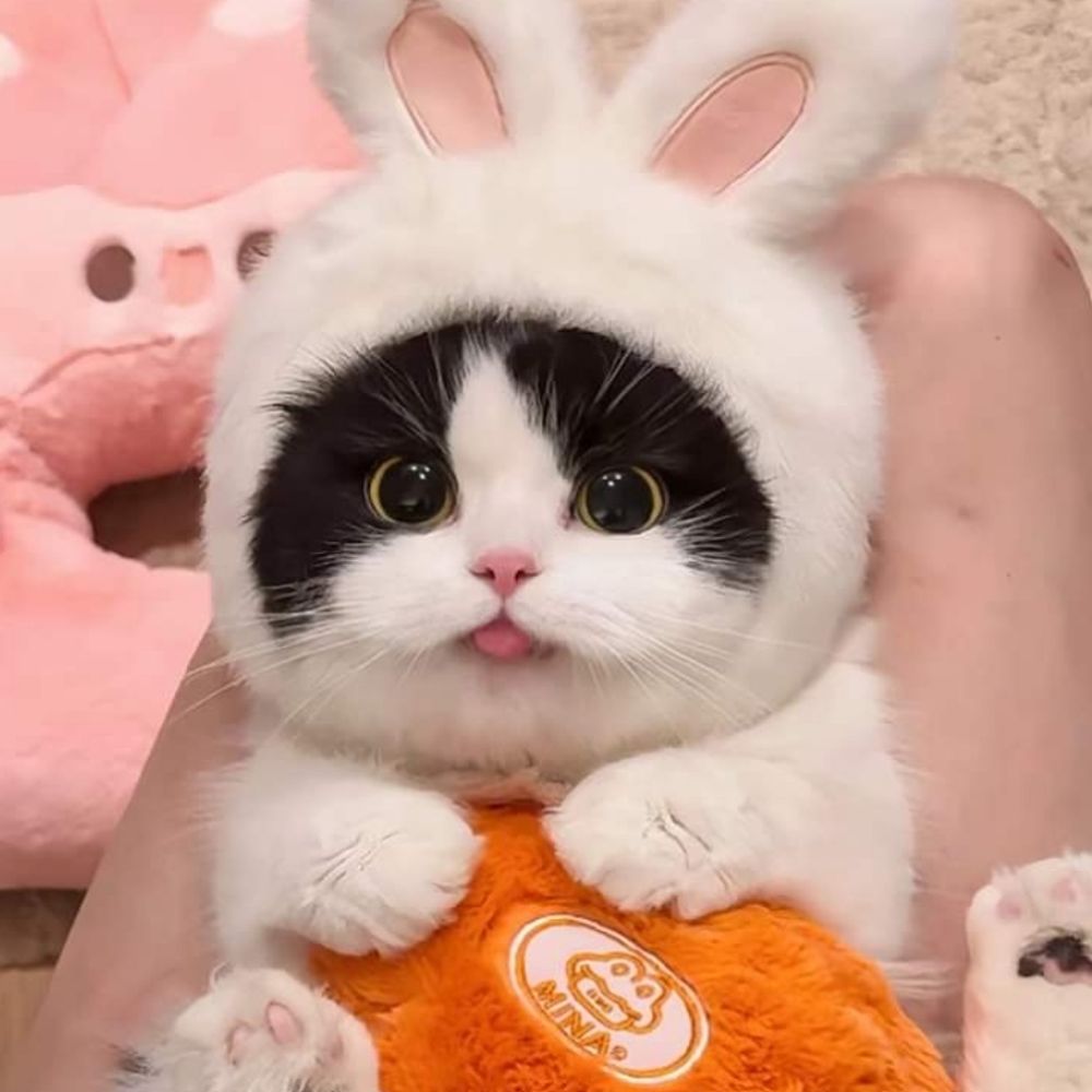 •