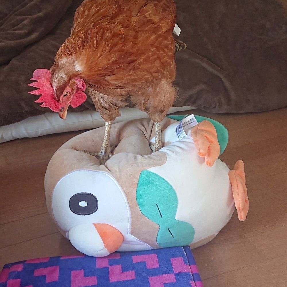 にゃ