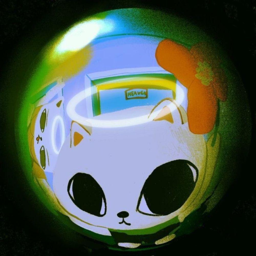 gatinho juche, o maior buddy do brasil