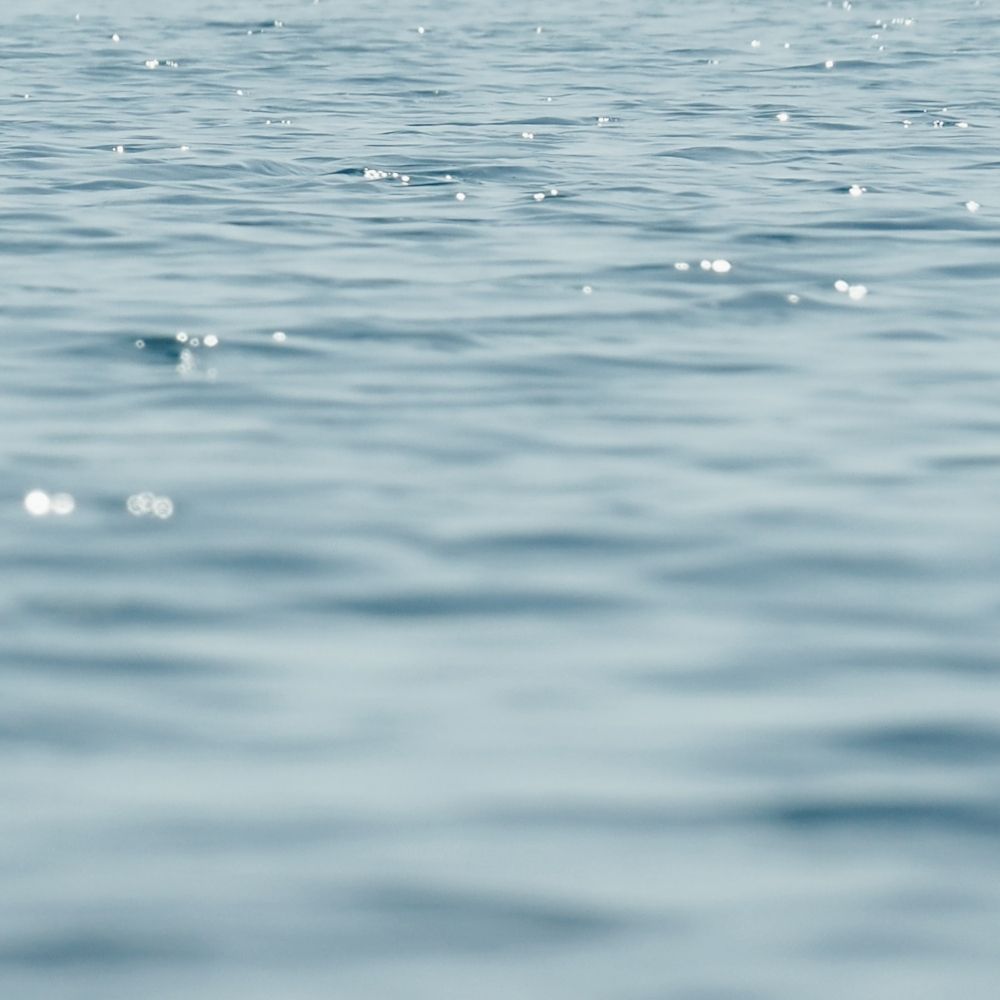 海