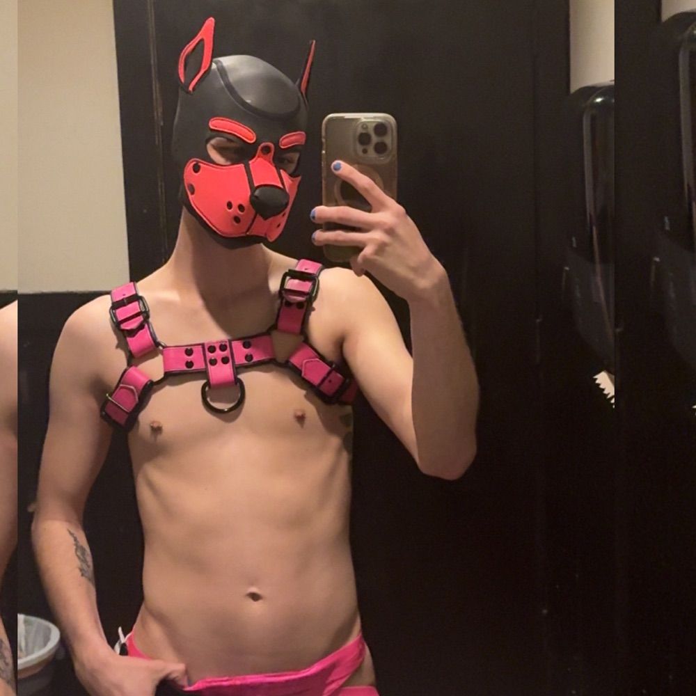 Pup Loki