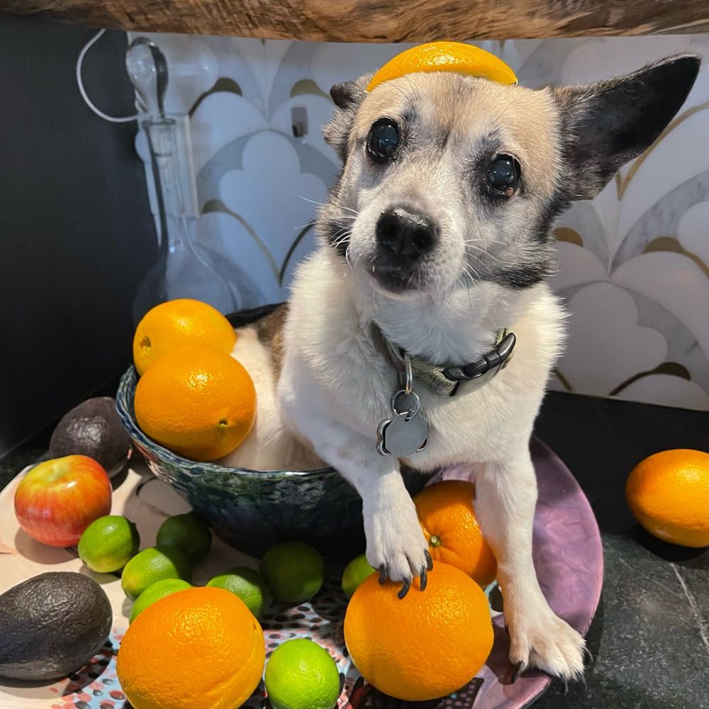 Clementine Underfoot