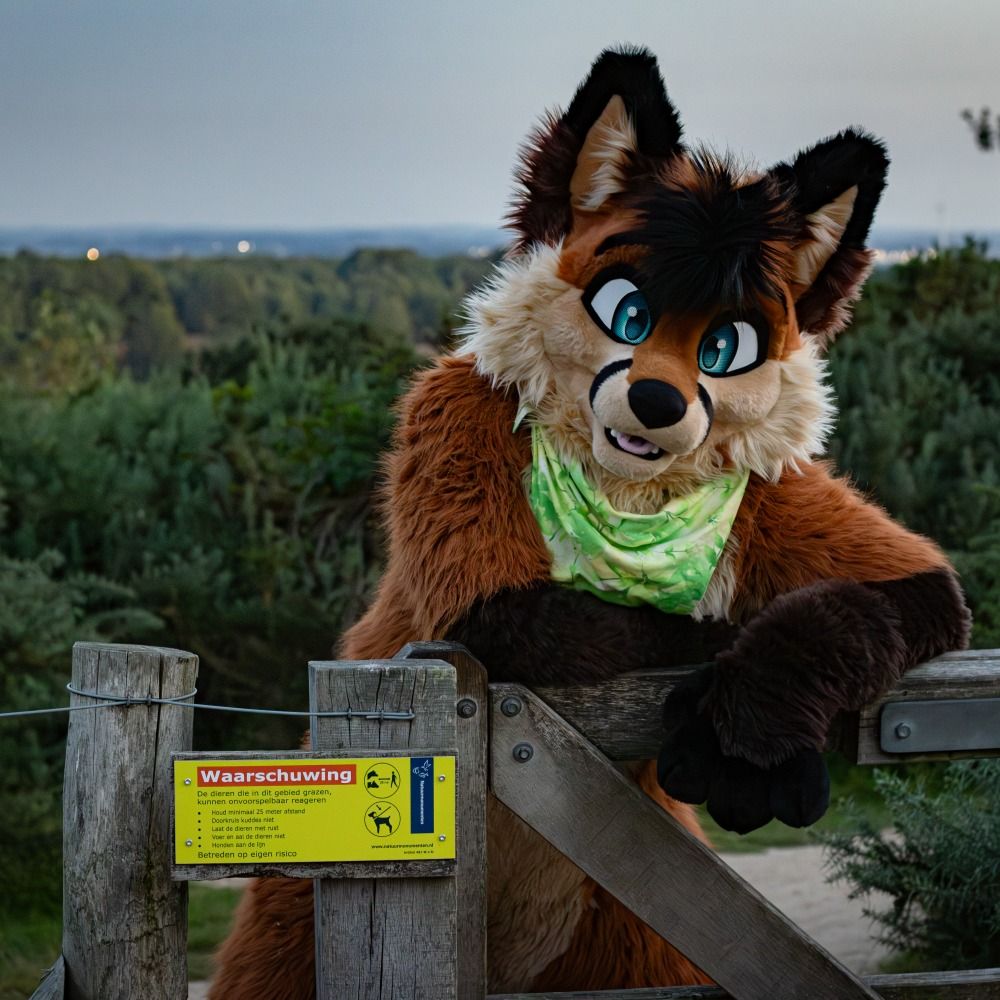 Cookie the Fox