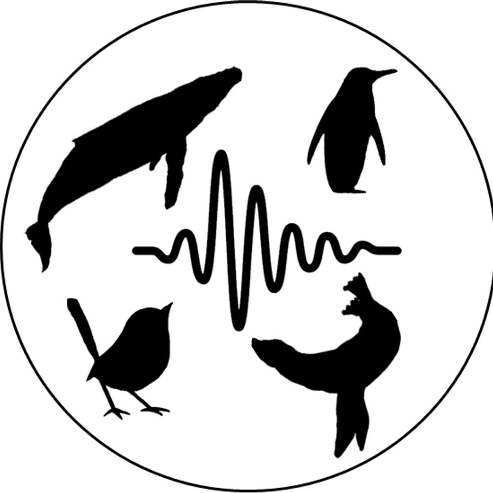 Acoustic Communication Team