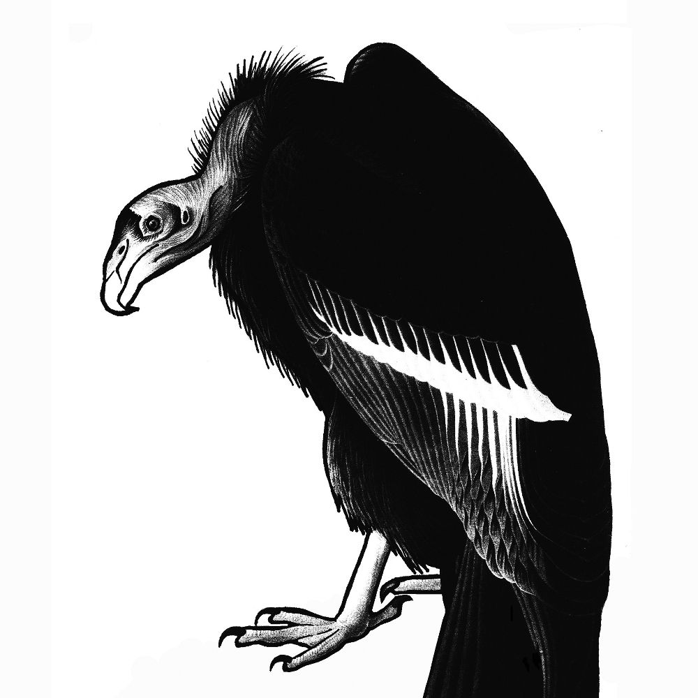 Digital Sting