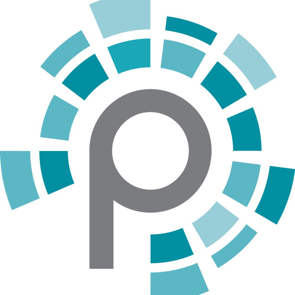 Pulse Fiber Internet