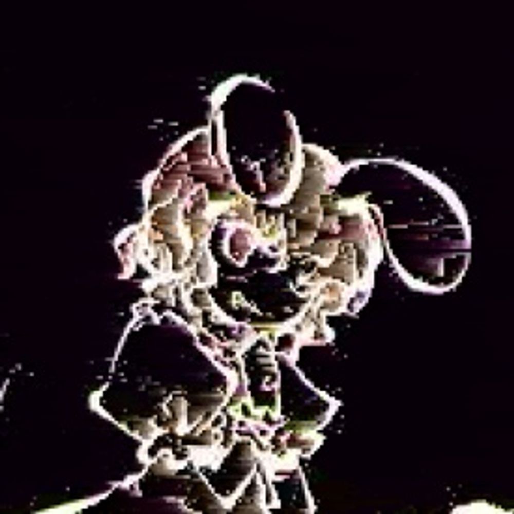spiders