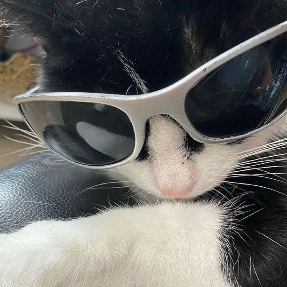 ✨