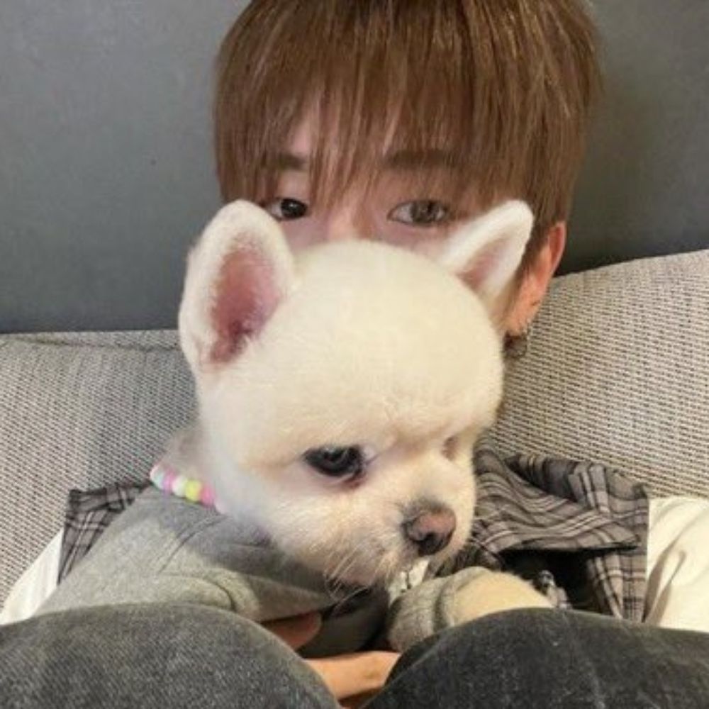 ㅂㅊㅅ 탯서