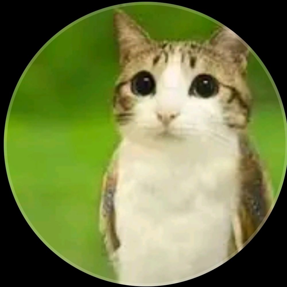 CrazyCat☆