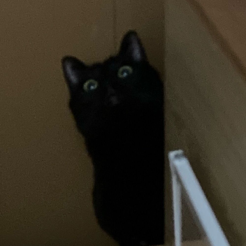 う〜〜