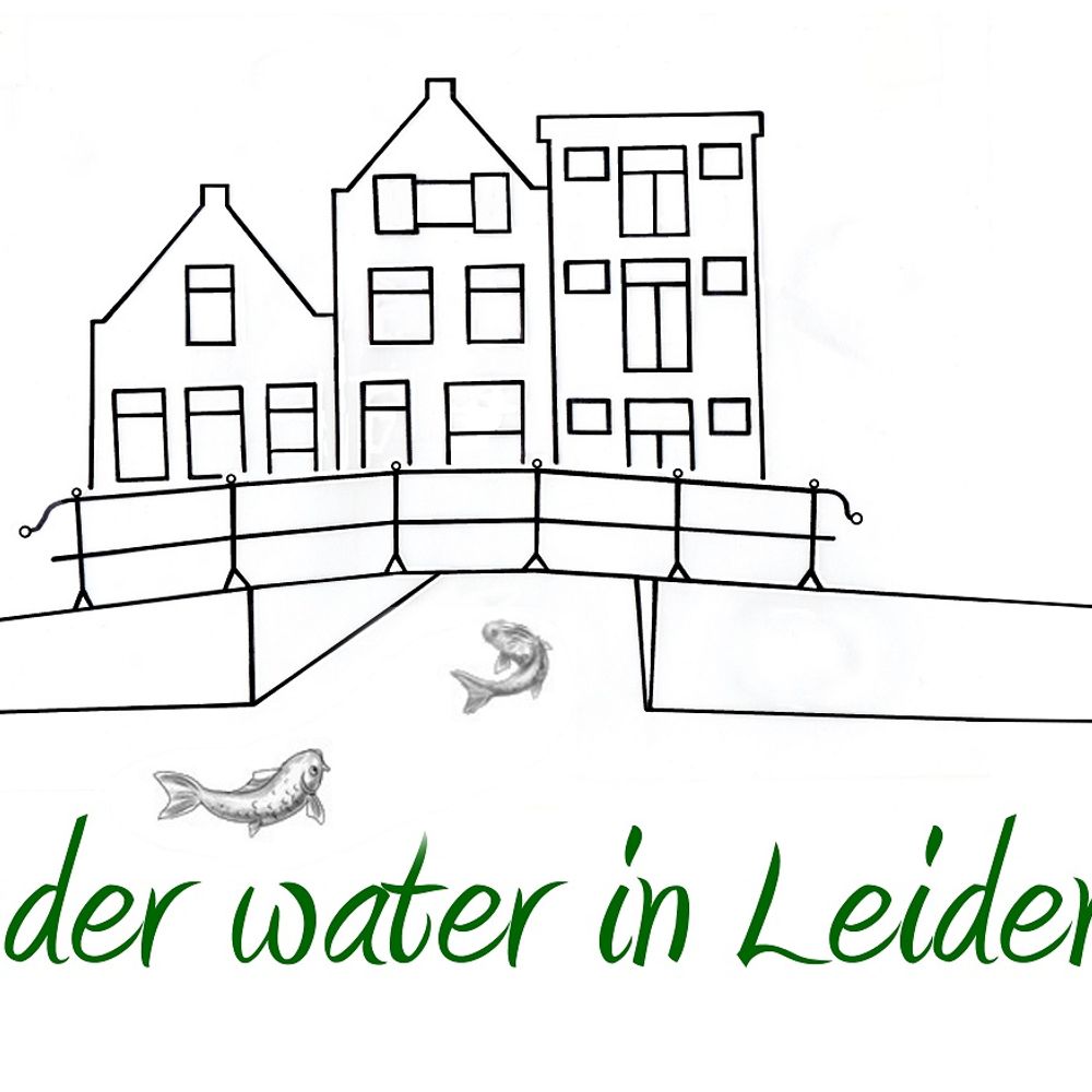 Onder water in Leiden.nl