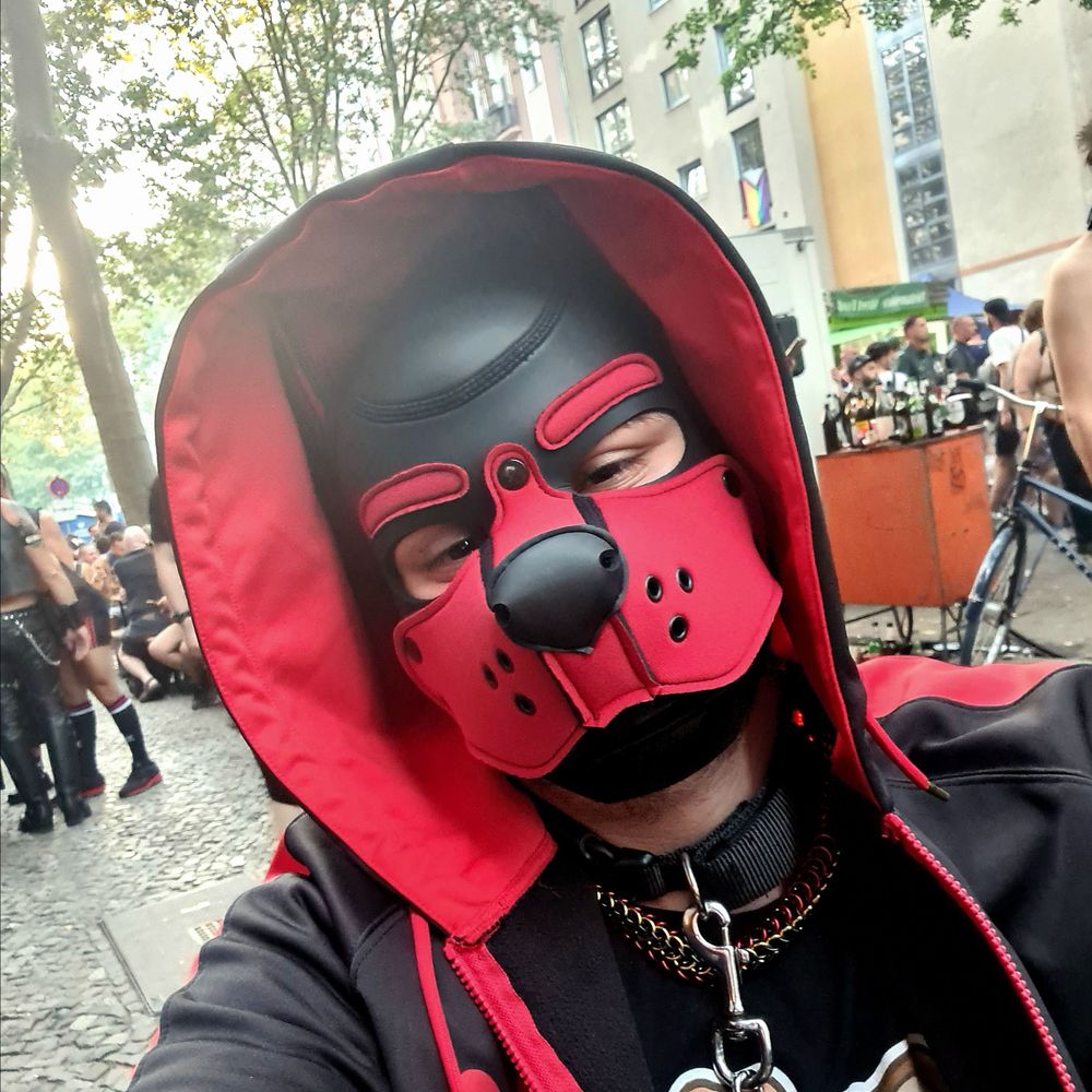KomiThePup