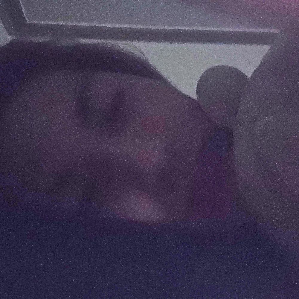 쿨쿨이