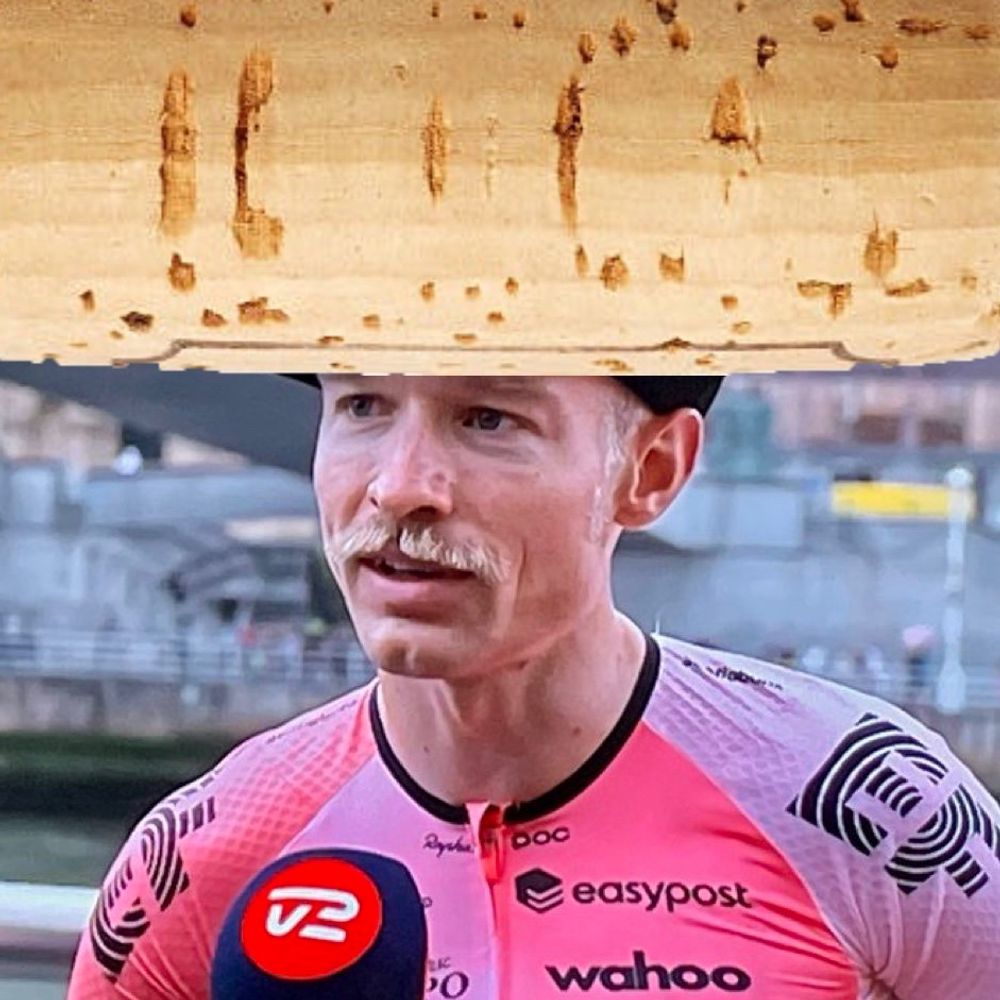 Magnus Kork