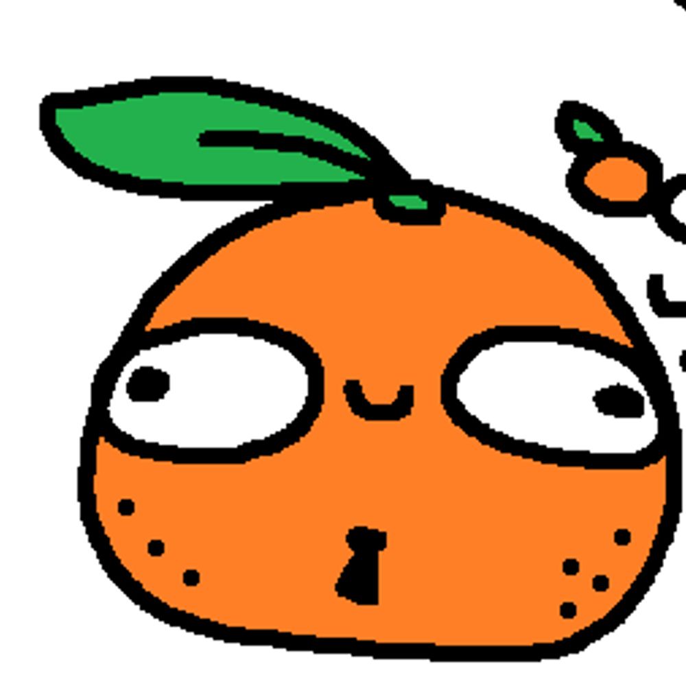 😎귤농장🍒