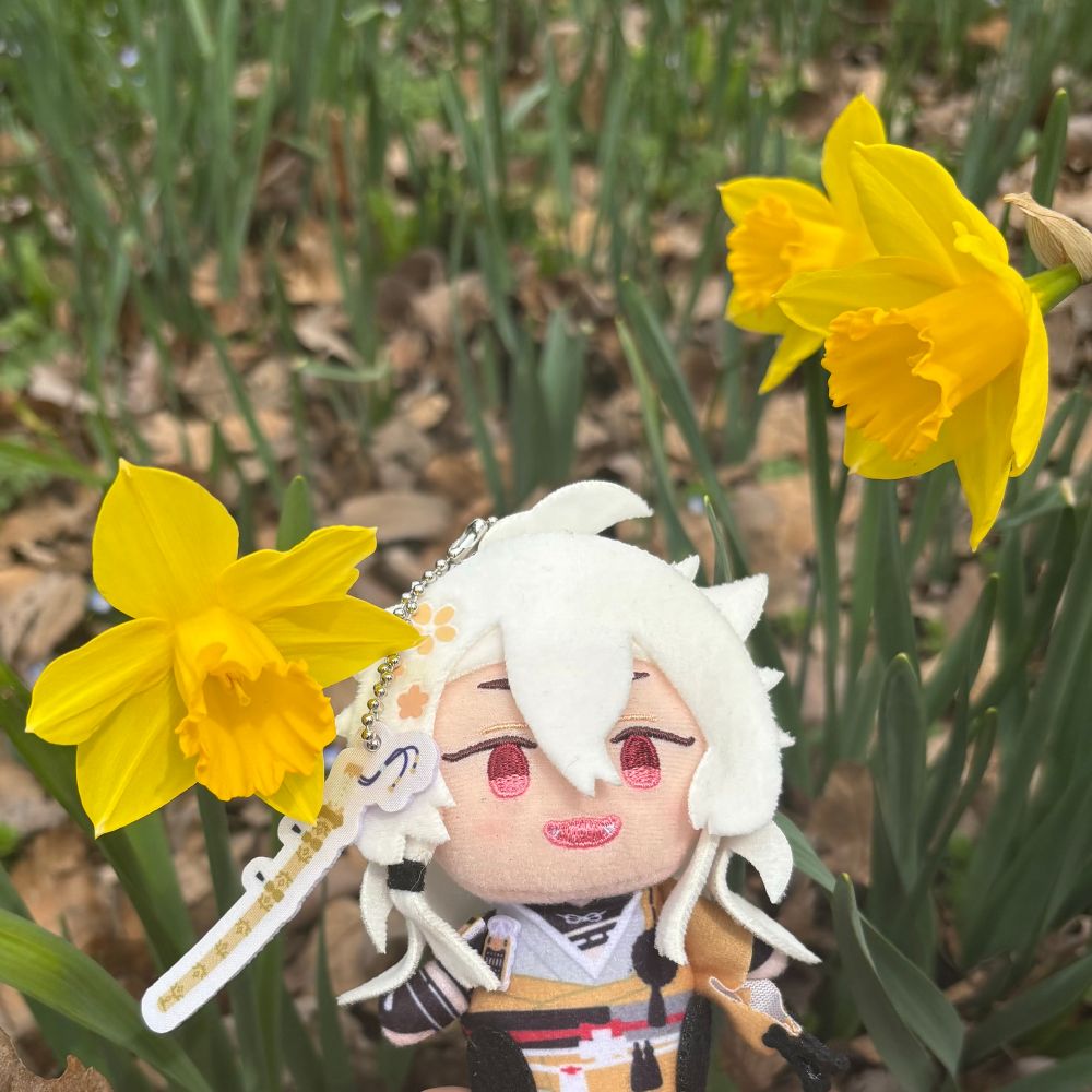 夢月