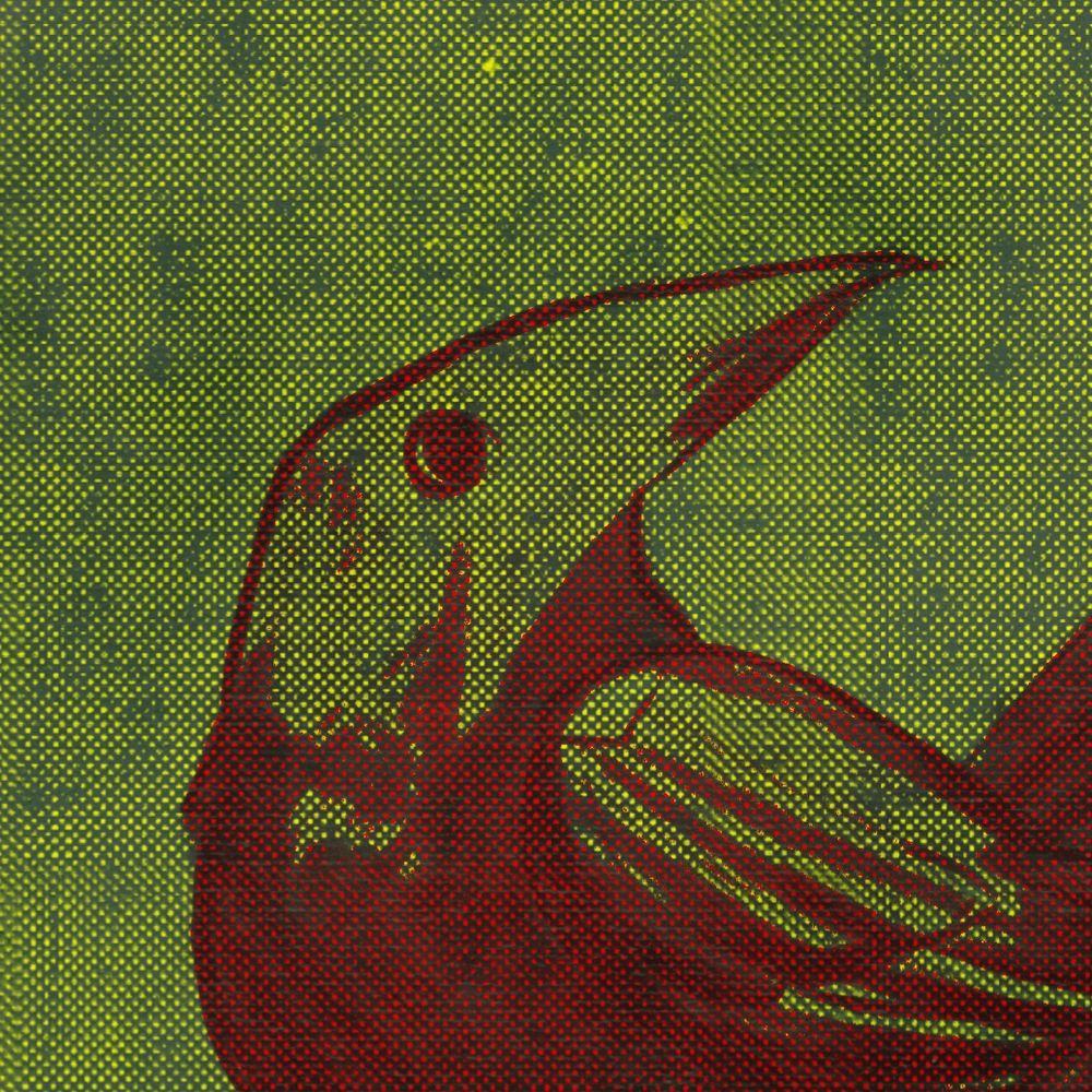 demi 🐦‍⬛