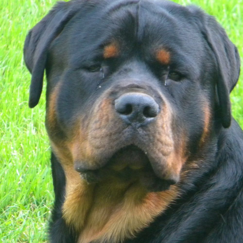 Fred 🍁🇨🇦 🇺🇸